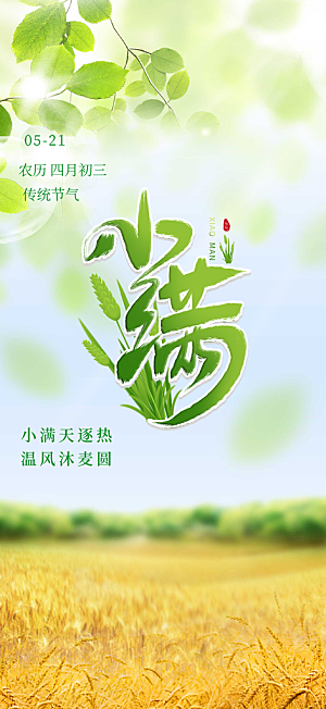 小满二十四节气海报