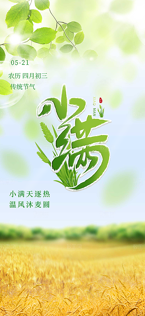 小满二十四节气海报