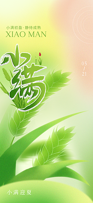 小满二十四节气海报