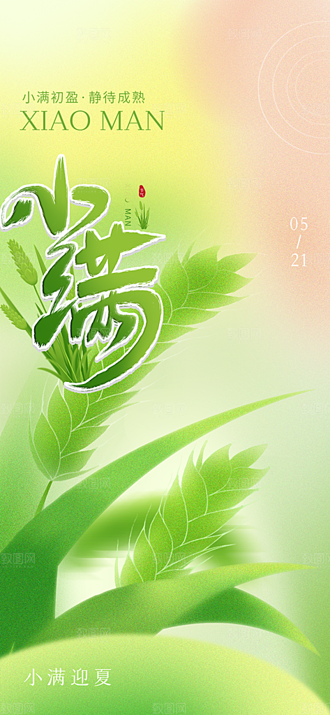 小满二十四节气海报