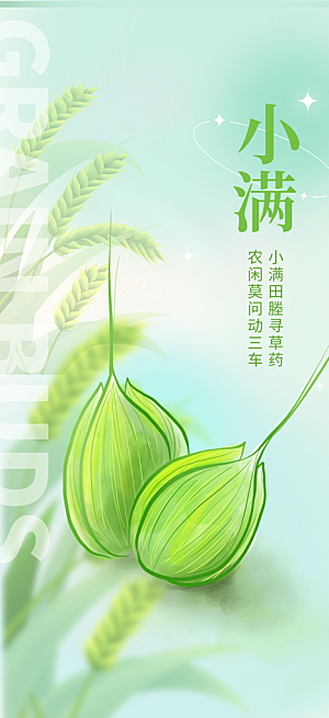 传统小满二十四节气海报