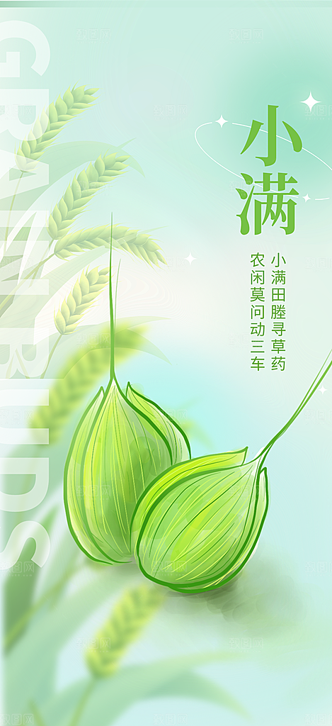 传统小满二十四节气海报