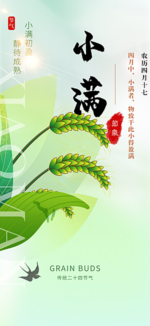传统小满二十四节气海报