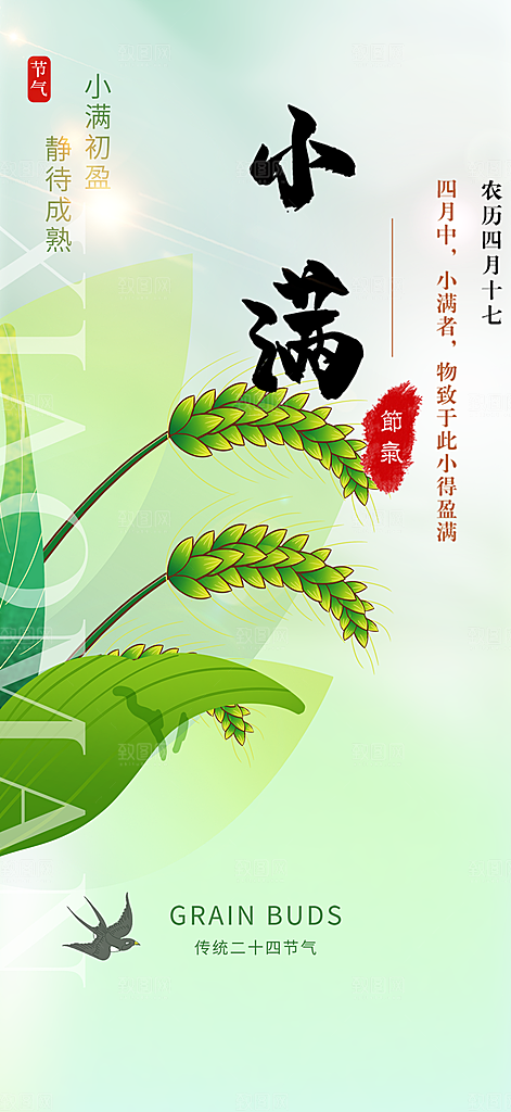 传统小满二十四节气海报
