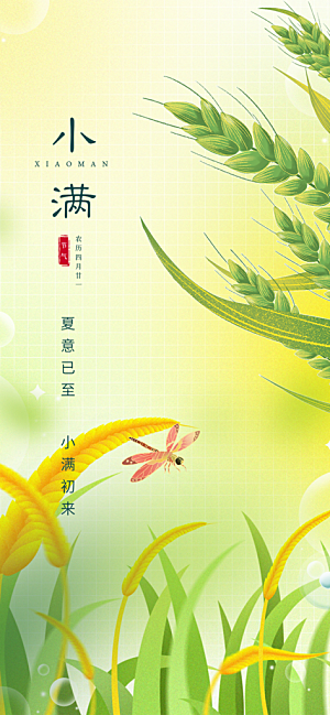 传统小满二十四节气海报