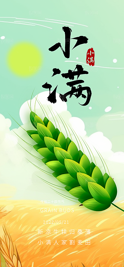 大气传统小满二十四节气海报