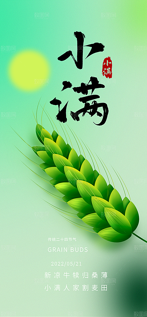 大气传统小满二十四节气海报