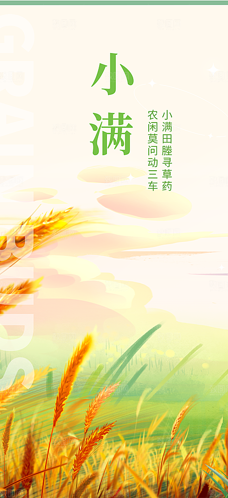 大气传统小满二十四节气海报