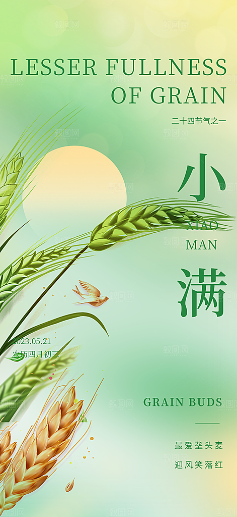 大气传统小满二十四节气海报