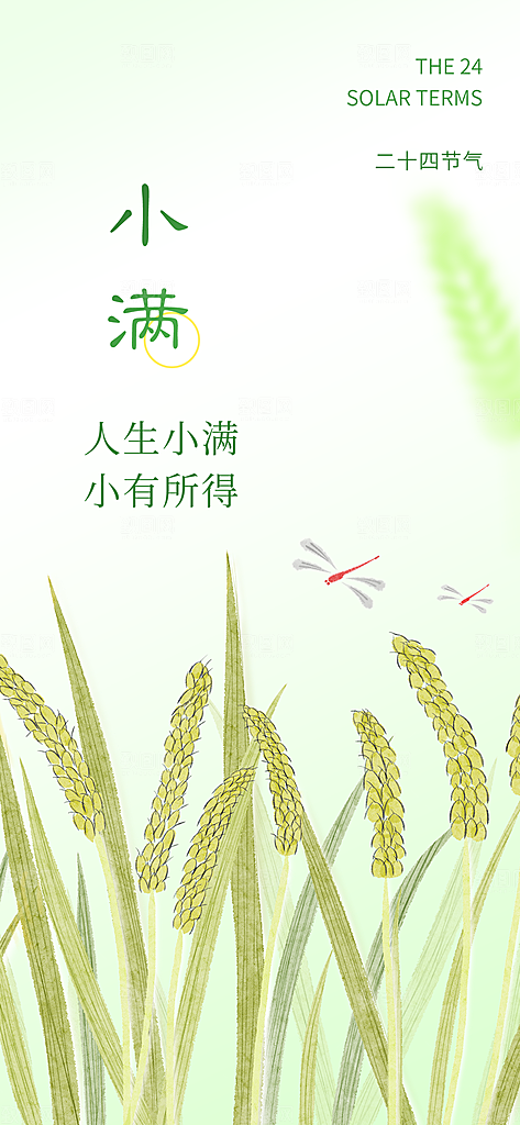 大气传统小满二十四节气海报