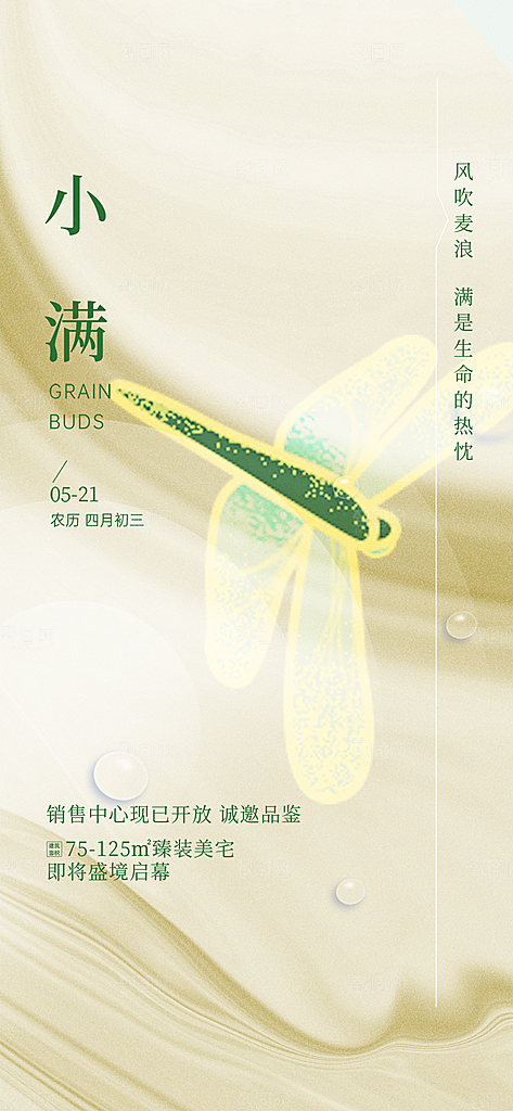 大气传统小满二十四节气海报