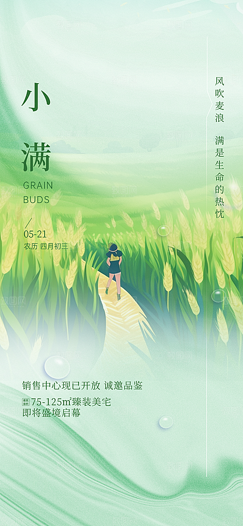 大气传统小满二十四节气海报