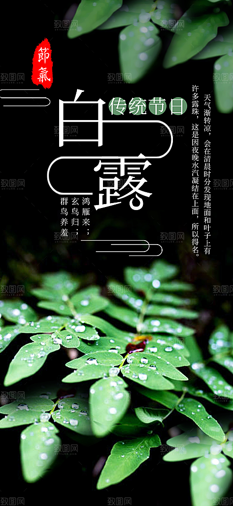 中国传统二十四节气白露节气宣传海报