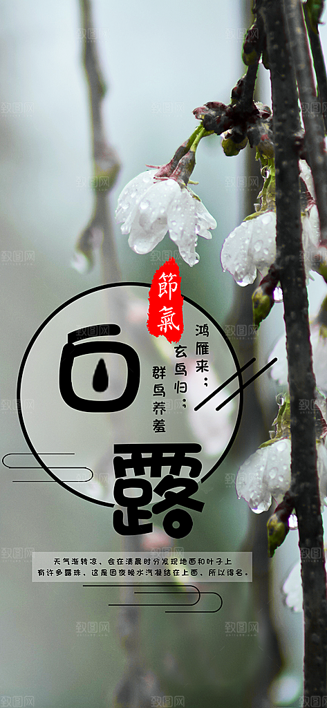 中国传统二十四节气白露节气宣传海报