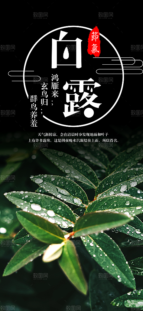 中国传统二十四节气白露节气宣传海报