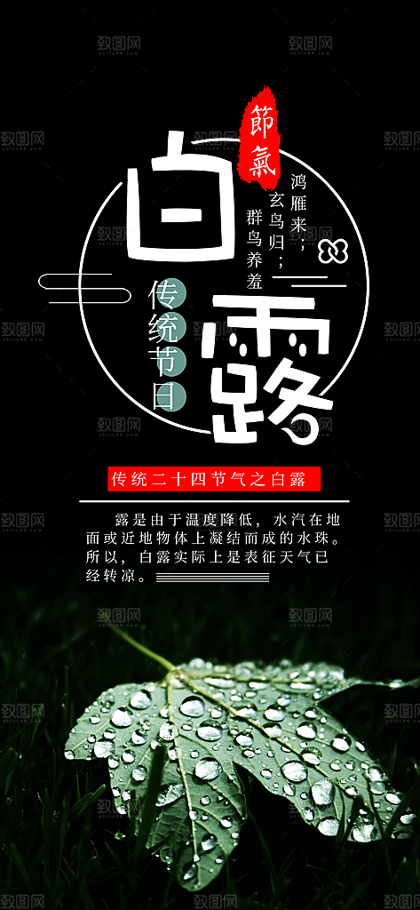 中国传统二十四节气白露节气宣传海报