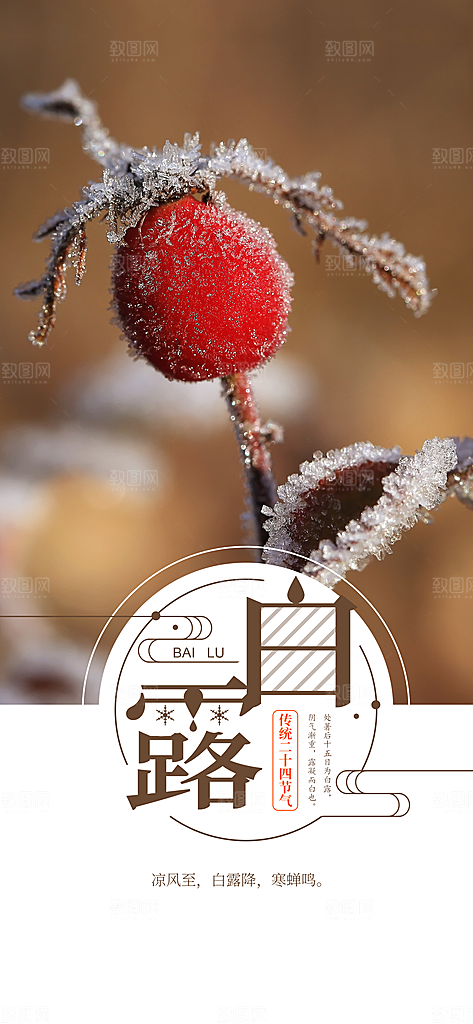 中国传统二十四节气白露节气宣传海报
