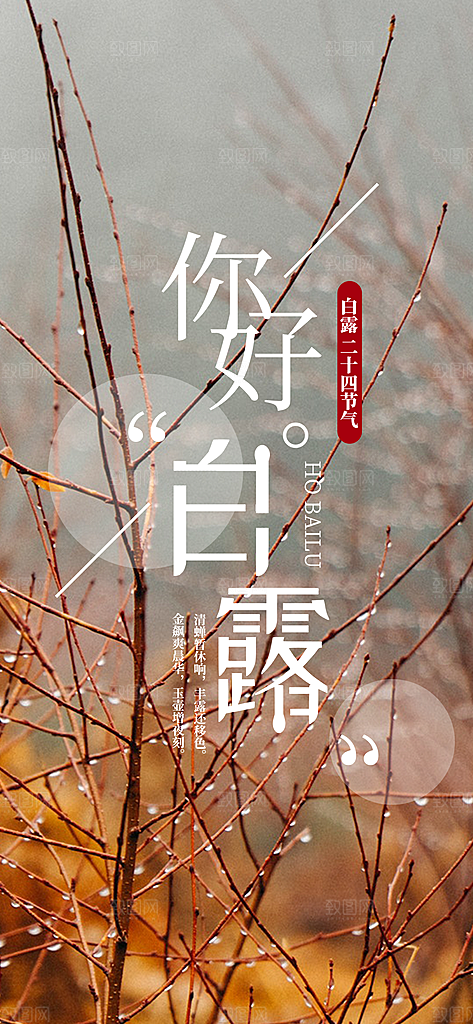 中国传统二十四节气白露节气宣传海报