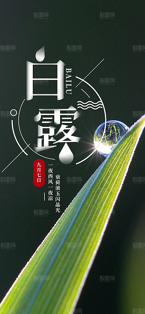 中国传统二十四节气白露节气宣传海报
