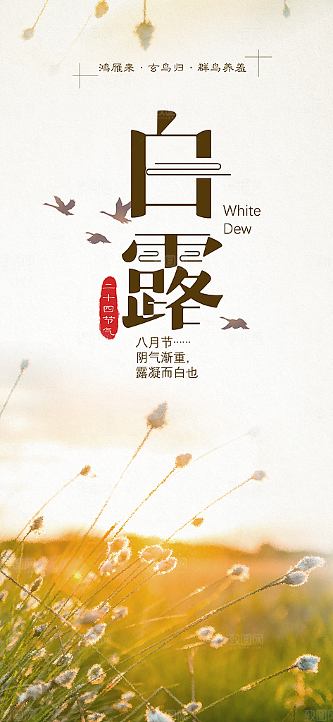 中国传统二十四节气白露节气宣传海报