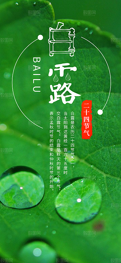 中国传统二十四节气白露节气宣传海报