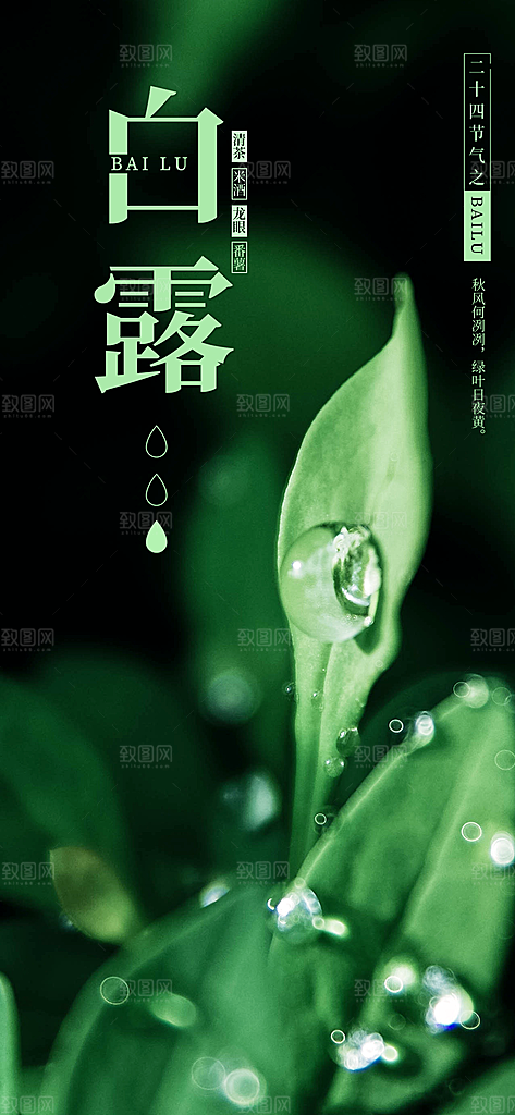 中国传统二十四节气白露节气宣传海报