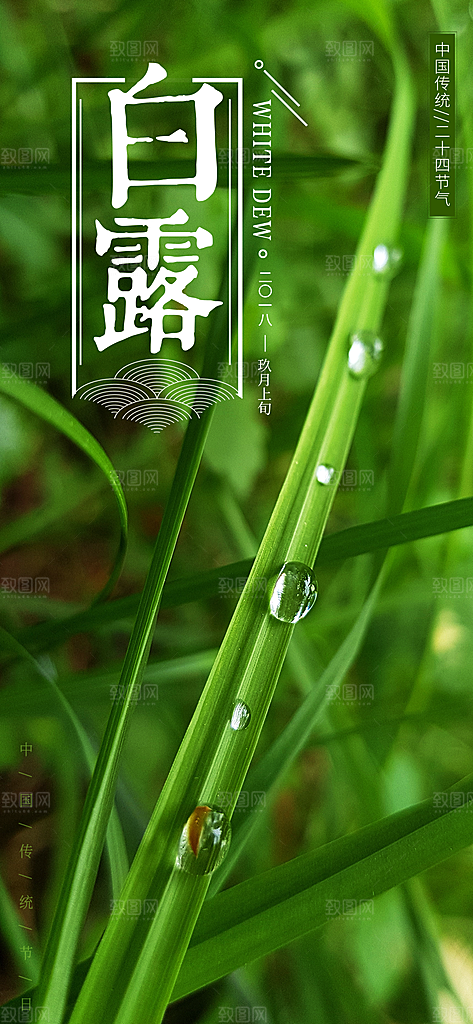 中国传统二十四节气白露节气宣传海报