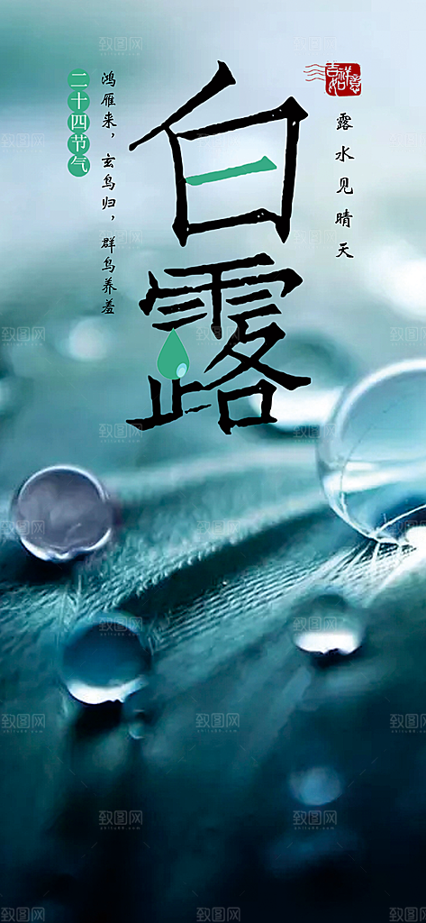 中国传统二十四节气白露节气宣传海报