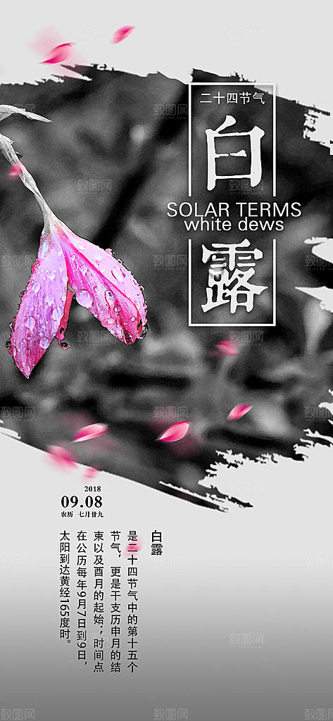中国传统二十四节气白露节气宣传海报