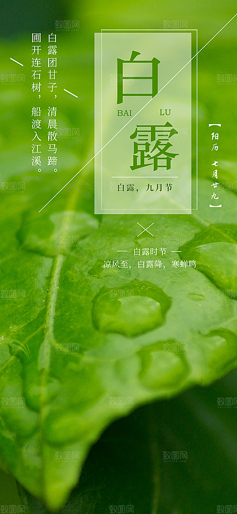 中国传统二十四节气白露节气宣传海报