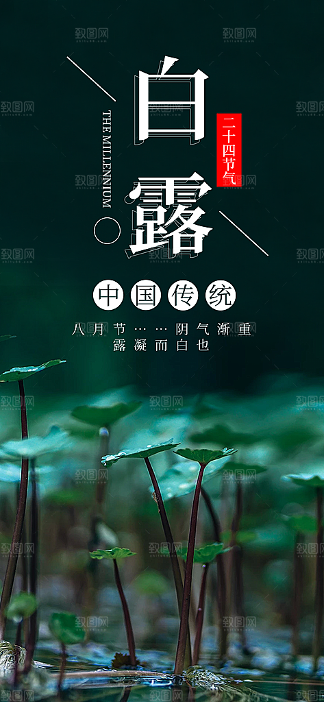 中国传统二十四节气白露节气宣传海报