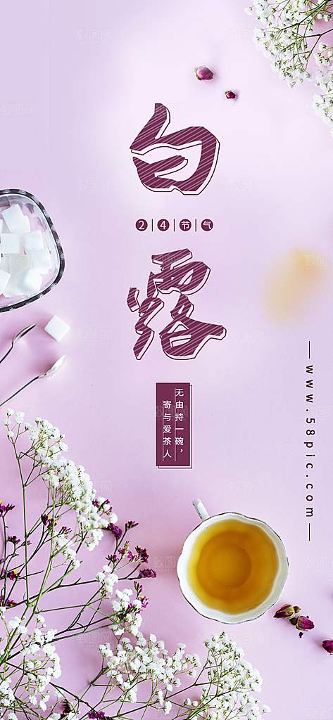 中国传统二十四节气白露节气宣传海报