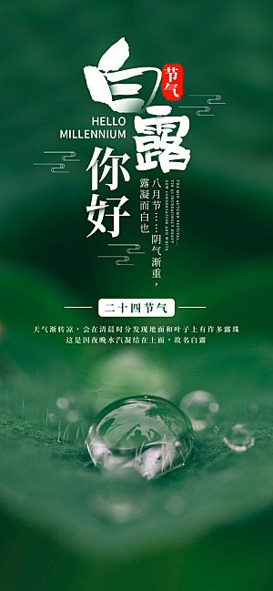 中国传统二十四节气白露节气宣传海报