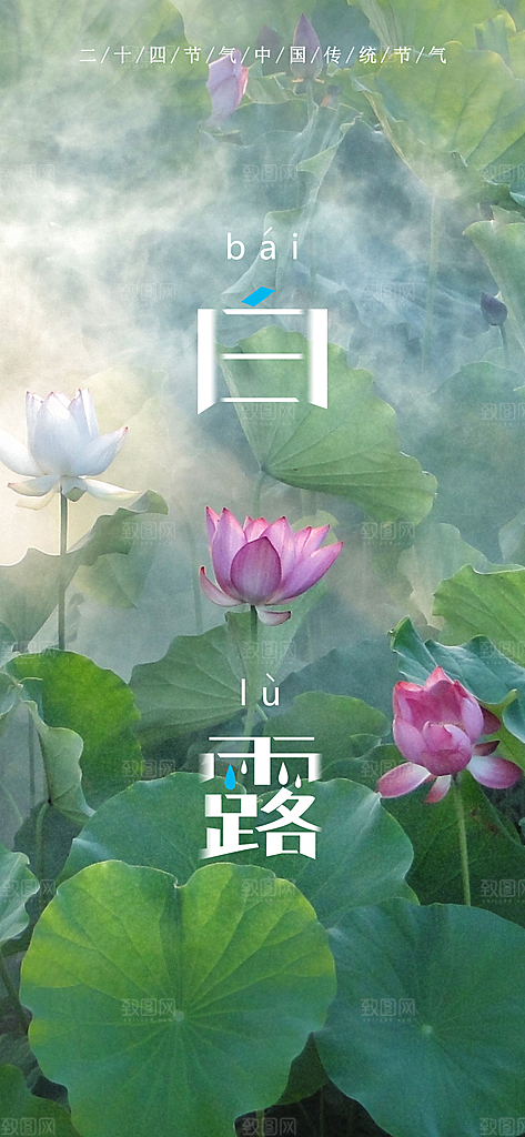 中国传统二十四节气白露节气宣传海报