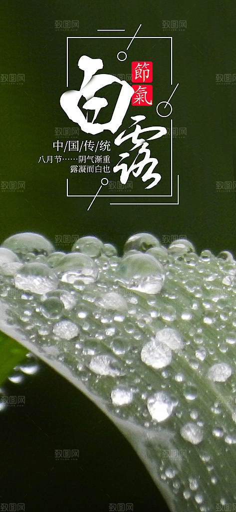 中国传统二十四节气白露节气宣传海报