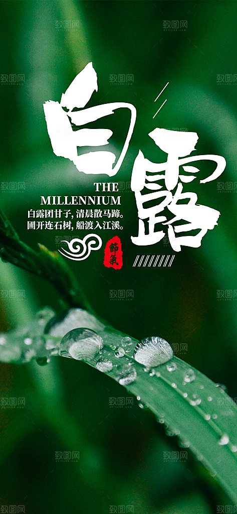 中国传统二十四节气白露节气宣传海报