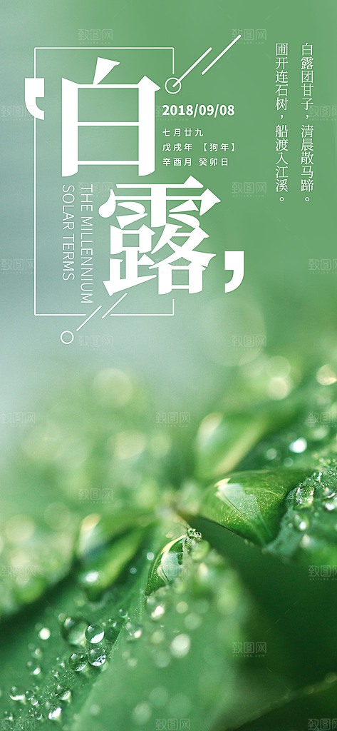 中国传统二十四节气白露节气宣传海报
