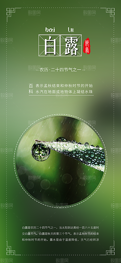 中国传统二十四节气白露节气宣传海报