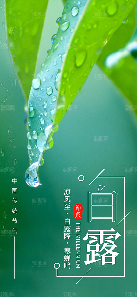 中国传统二十四节气白露节气宣传海报