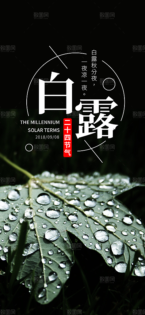 中国传统二十四节气白露节气宣传海报