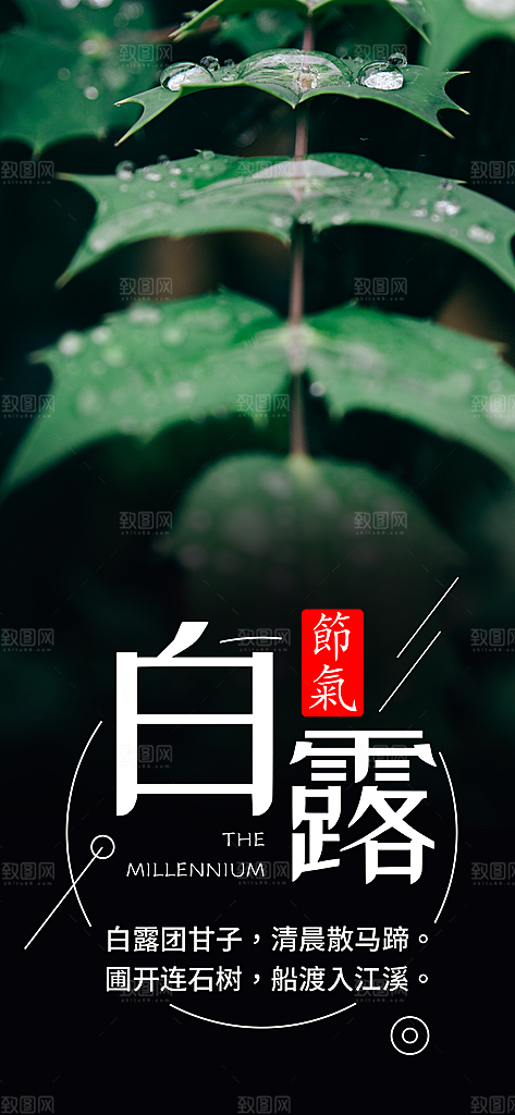 中国传统二十四节气白露节气宣传海报