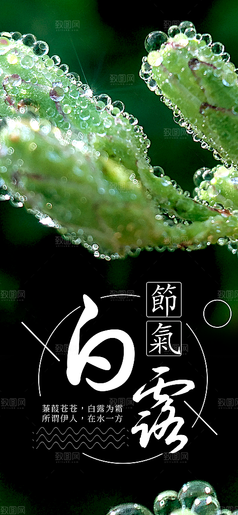 中国传统二十四节气白露节气宣传海报
