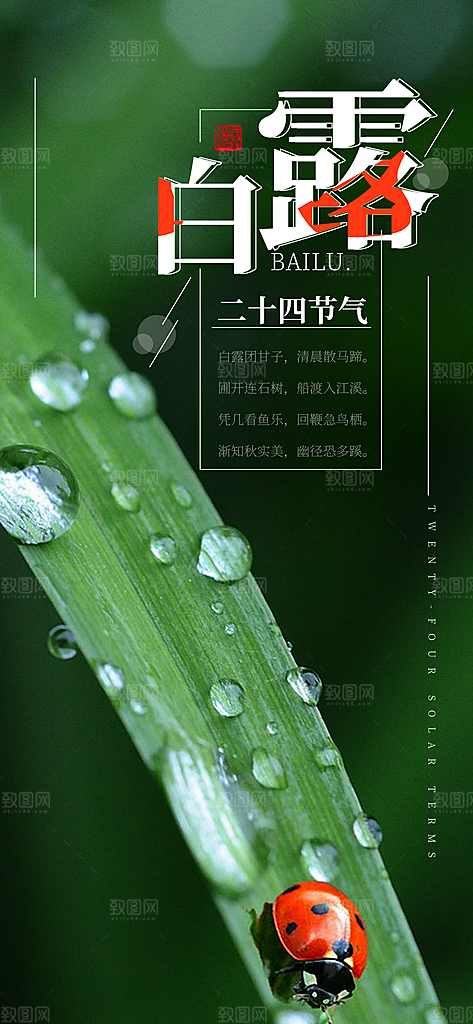 中国传统二十四节气白露节气宣传海报