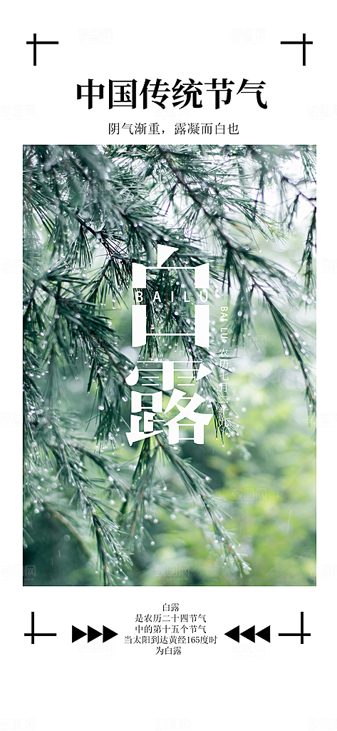 中国传统二十四节气白露节气宣传海报
