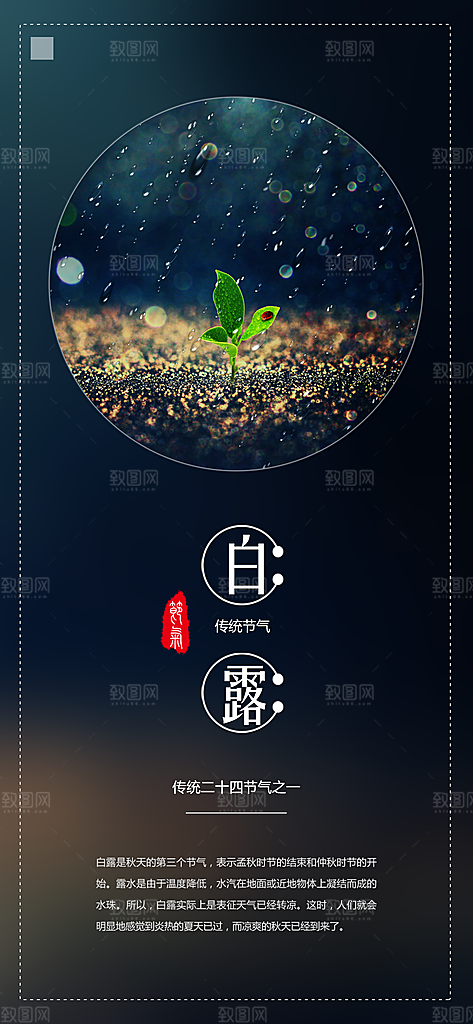 中国传统二十四节气白露节气宣传海报