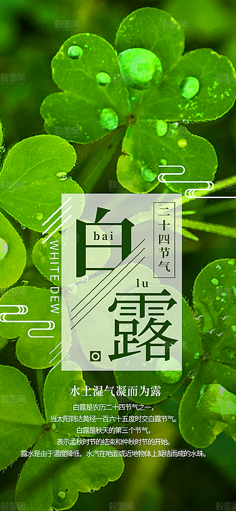 中国传统二十四节气白露节气宣传海报