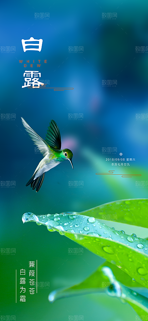 中国传统二十四节气白露节气宣传海报