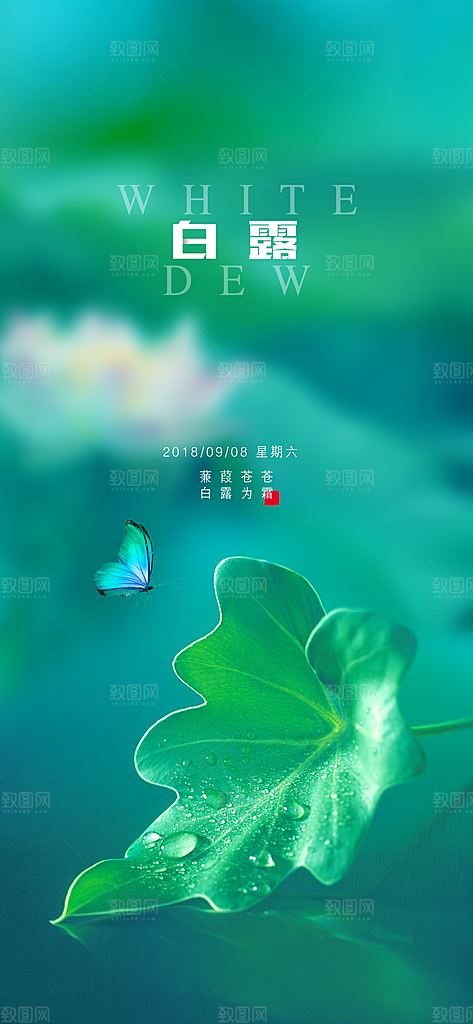 中国传统二十四节气白露节气宣传海报
