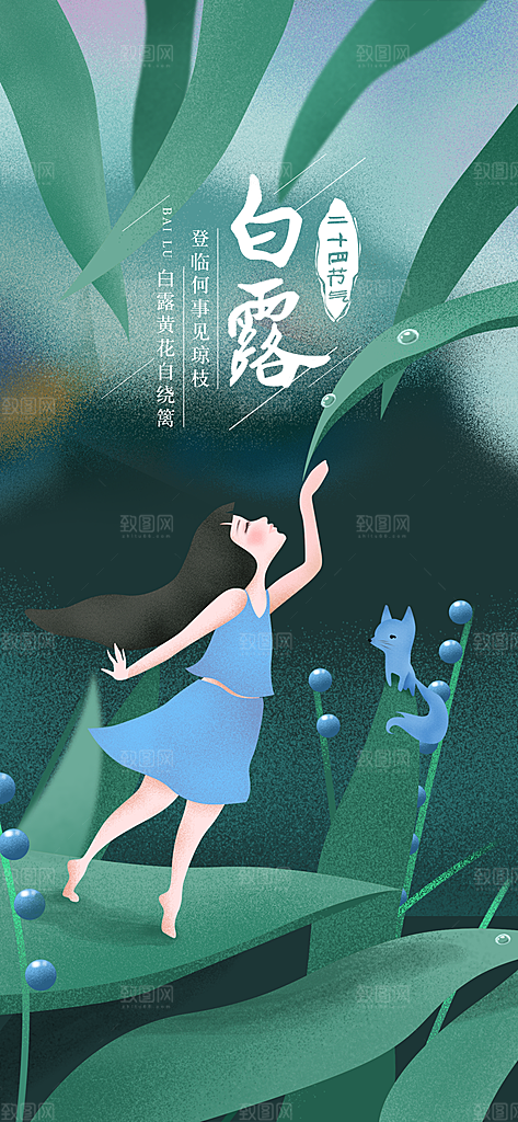 中国传统二十四节气白露节气宣传海报