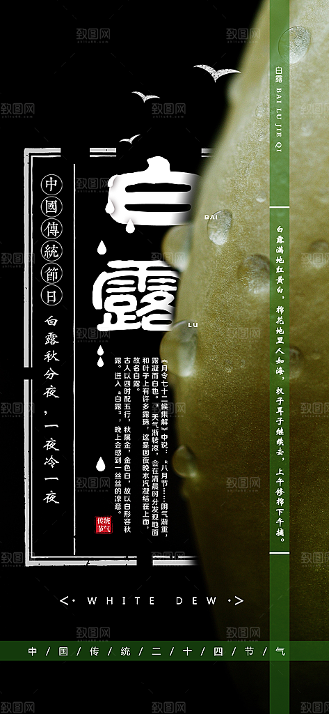 中国传统二十四节气白露节气宣传海报